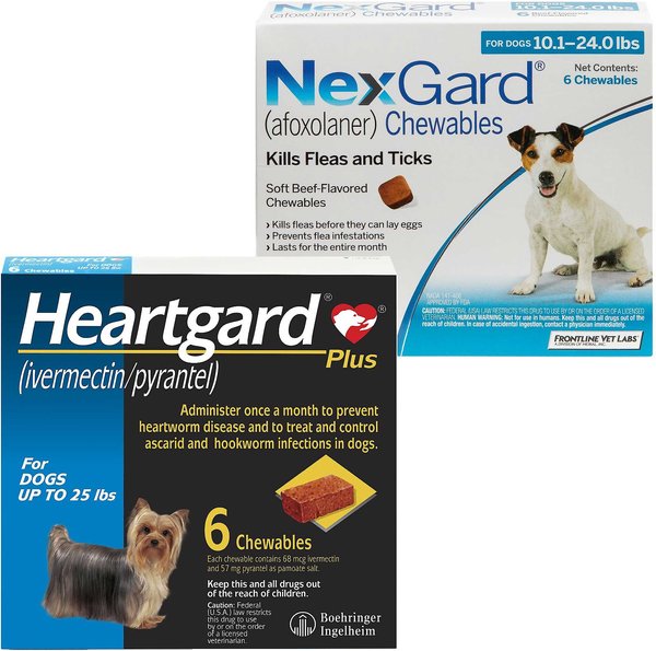 Heartgard Plus Chew for Dogs, up to 25 lbs, (Blue Box), 6 Chews (6-mos. supply) & NexGard Chew for Dogs, 10.1-24 lbs, (Blue Box), 6 Chews (6-mos. supply) slide 1 of 7