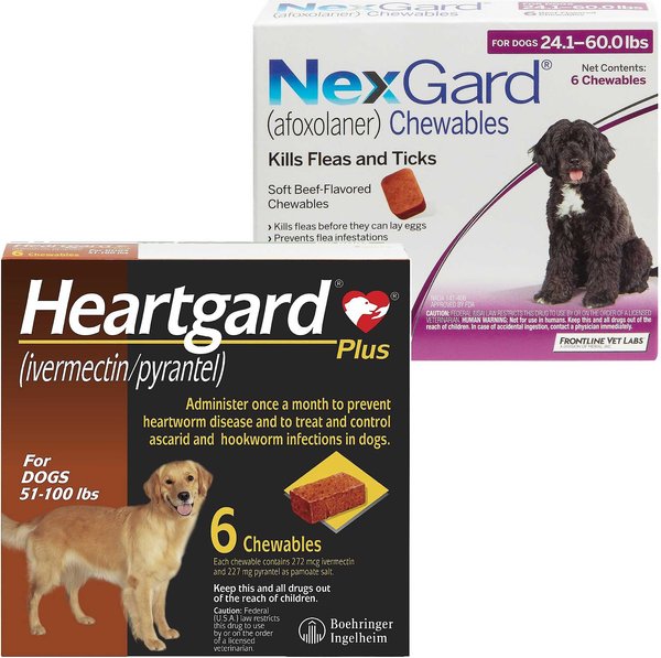 Heartgard Plus Chew for Dogs, 51-100 lbs, (Brown Box), 6 Chews (6-mos. supply) & NexGard Chew for Dogs, 24.1-60 lbs, (Purple Box), 6 Chews (6-mos. supply) slide 1 of 7