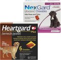 Bundle: Heartgard Plus for Dogs, 6 Chews (6-mos. supply) & NexGard for Dogs, 6 Chews (6-mos. supply)
