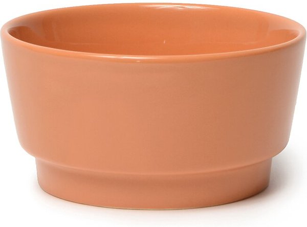 Waggo Gloss Ceramic Dog Bowl, Rust, 4-cup slide 1 of 2