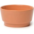 Waggo Gloss Ceramic Dog Bowl, Rust, 4-cup