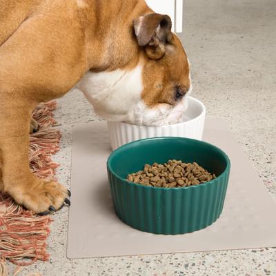 Show full view: Waggo Ripple Ceramic Dog Bowl, Teal, 8-cup slide 4 of 8