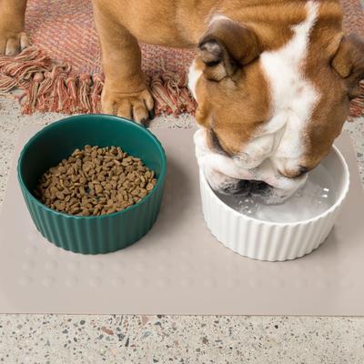 Show full view: Waggo Ripple Ceramic Dog Bowl, Teal, 8-cup slide 5 of 8