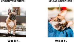 Frisco Personalized Minimalistic Woof White Coffee Mug, 15-oz slide 2 of 4