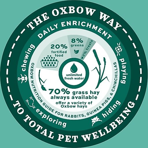 Oxbow Enriched Life Rectangle Small Animal Litter Pan with Removable Shield