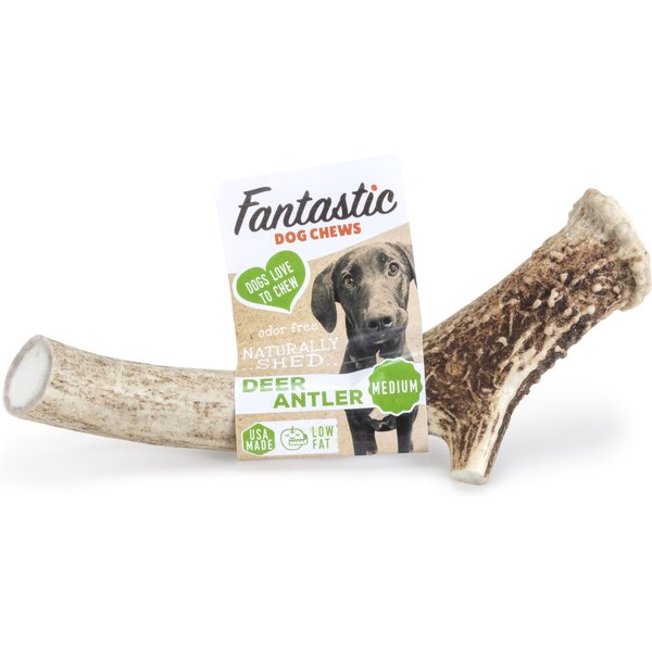 SHERWOOD - Antler Dog Chew - Corno Di Cervo Da Masticare Per Cani Taglia  Medium