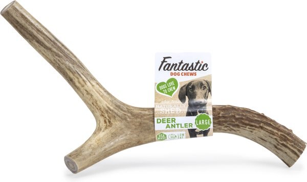 Fantastic Dog Chews Deer Antler Dog Treat, Large slide 1 of 1