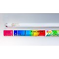 Lumichrome Sunshine 10 UVB T8 Fluorescent Reptile Lamp, 24-in