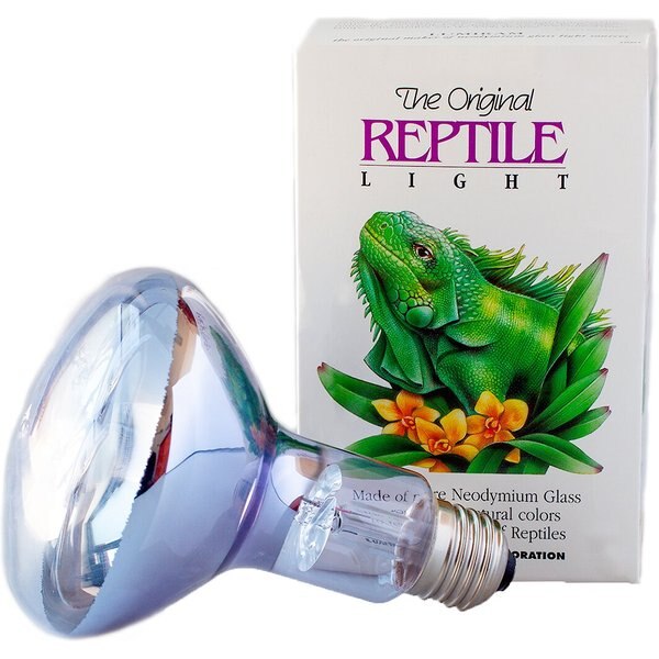 EXO TERRA Natural Daylight Reptile Lamp, 13w bulb