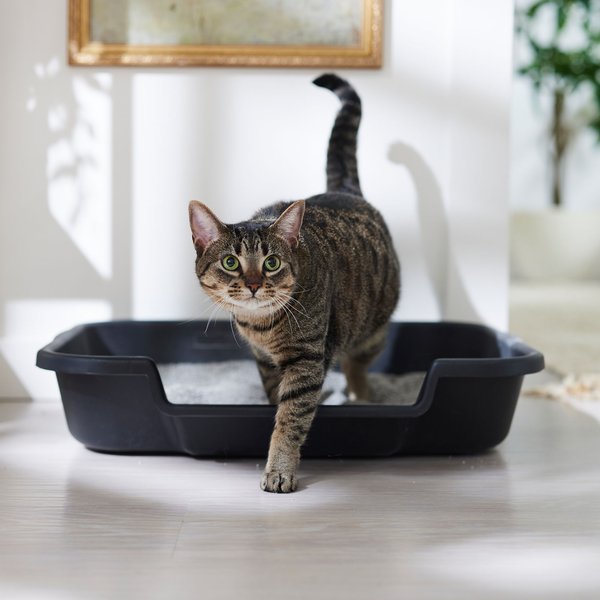 Noba Soy Ultra Clumping Cat Litter, 10-L bag