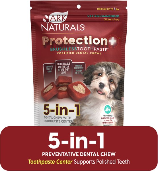 Ark Naturals Brushless Toothpaste Protection+ Mini Dental Dog Treats, 4-oz bag, count varies slide 1 of 10
