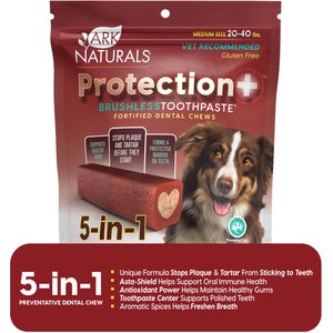 Ark Naturals Brushless Toothpaste Protection+ Medium Dental Dog Treats, 18-oz bag, count varies
