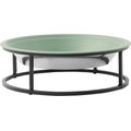 Frisco Elevated Non-skid Stainless Steel Dog & Cat Bowl, Artichoke Green, 5 Cup