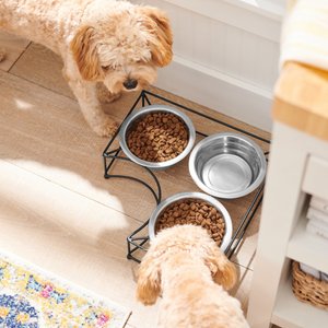 Frisco Straight Triple Corner Feeder Dog & Cat Stainless Steel Bowl, Medium: 3 cup