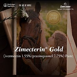 Zimecterin Gold Ivermectin & Praziquantel Paste Horse Dewormer, 0.26-oz syringe, 1 count slide 2 of 8