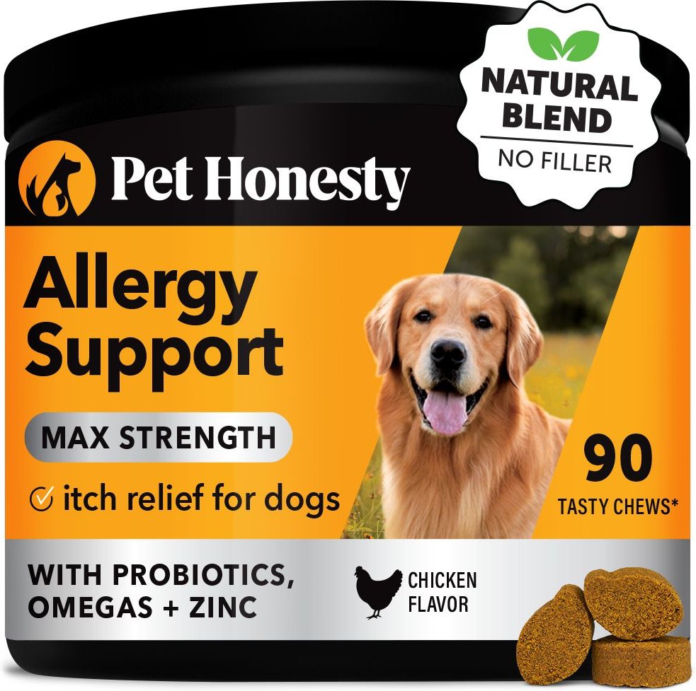 View of How Can I Strengthen My Dogs Immune System