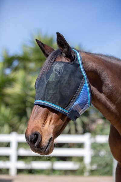 Kensington Protective Products UViator CatchMask Horse Fly Mask, Kentucky Blue, Large slide 1 of 2