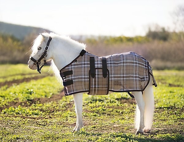 Kensington SureFit Protective Pony Sheet, Deluxe Black, 57 In