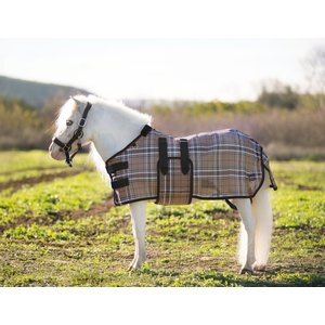 Kensington Protective Products Textilene Protective Mini Horse Fly Sheet, Deluxe Black, 50-in