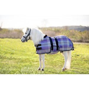 Kensington Protective Products Textilene Protective Mini Horse Fly Sheet, Lavender Mint, 50-in