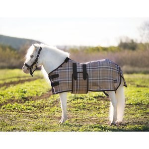 Kensington Protective Products Textilene Protective Mini Horse Fly Sheet, Deluxe Black, 54-in