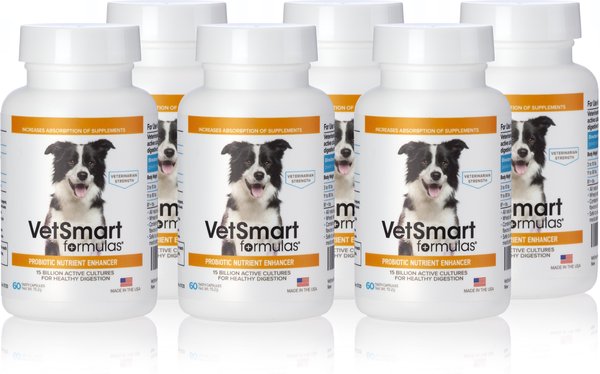 VetSmart Formulas Probiotic Nutrient Enhancer Dog Supplement, 60 count, case of 6 slide 1 of 9