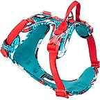 Aqua