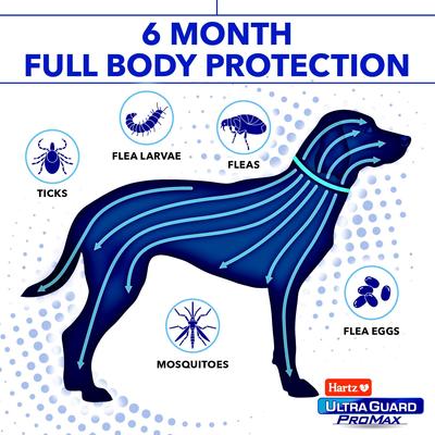 Show full view: Hartz Ultra Guard ProMax Flea & Tick Collar for Dogs, 2 collars (12-mos. supply), Blue slide 3 of 7