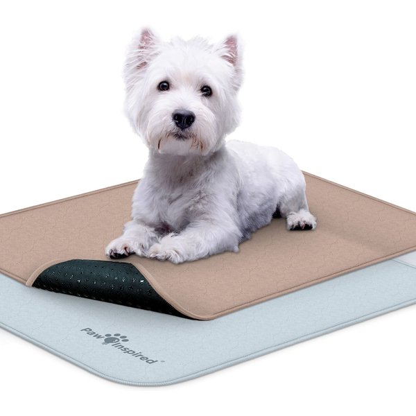 Extra Large Washable Dog Pee Pads –