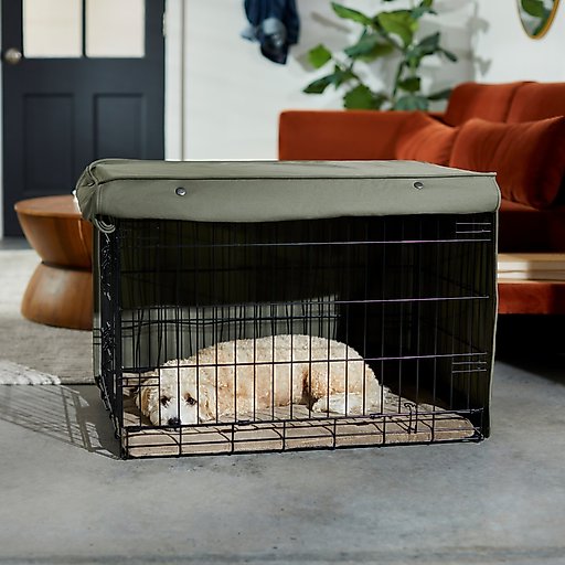 Frisco Crate Cover, Green, 36 inch