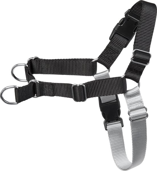 Frisco Basic No Pull Harness, Black/Gray, MD slide 1 of 7