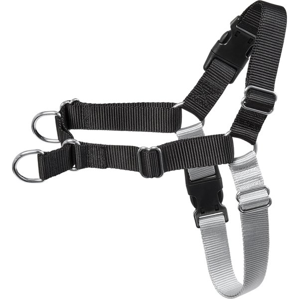 FRISCO Padded Reflective No Pull Harness, Green/Black, MD - Chewy.com