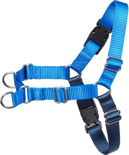 Frisco Basic No Pull Harness, Navy/Blue, XS slide 1 of 7