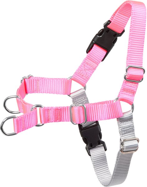 Frisco Basic No Pull Harness, Pink/Gray, LG slide 1 of 7
