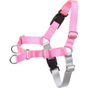 Frisco Basic No Pull Harness, Pink/Gray, LG