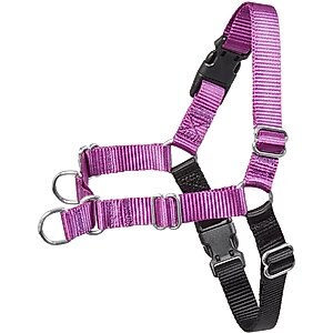 Frisco Basic No Pull Harness, Black/Purple, MD