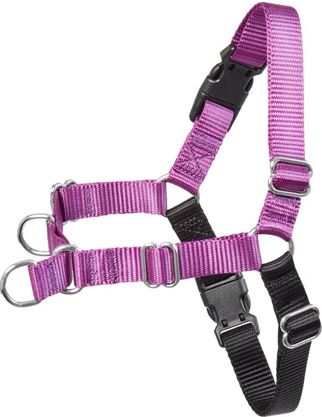 Frisco Basic No Pull Harness, Black/Purple, XL slide 1 of 7