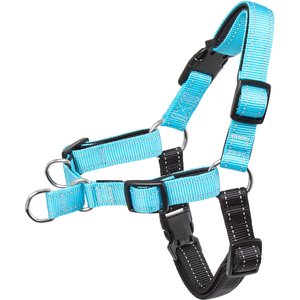 Frisco Padded Reflective No Pull Harness, Blue/Black, XL