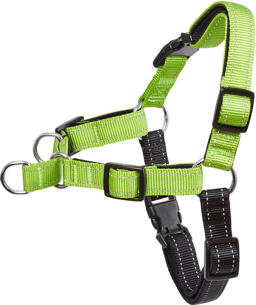 Frisco Padded Reflective No Pull Harness, Green/Black, XS slide 1 of 7