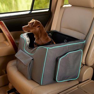 Frisco Travel Dog Bucket Booster Seat, Gray/Teal, Regular