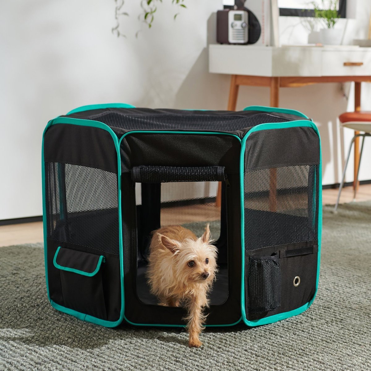 What size crate for a Cavapoo- 7 cool crates for your Cavapoo