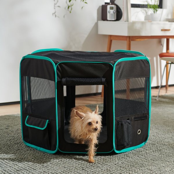 Frisco Soft-Sided Dog, Cat & Small Pet Exercise Playpen, Black/Teal, 36-in L x 36-in W x 24-in H slide 1 of 6