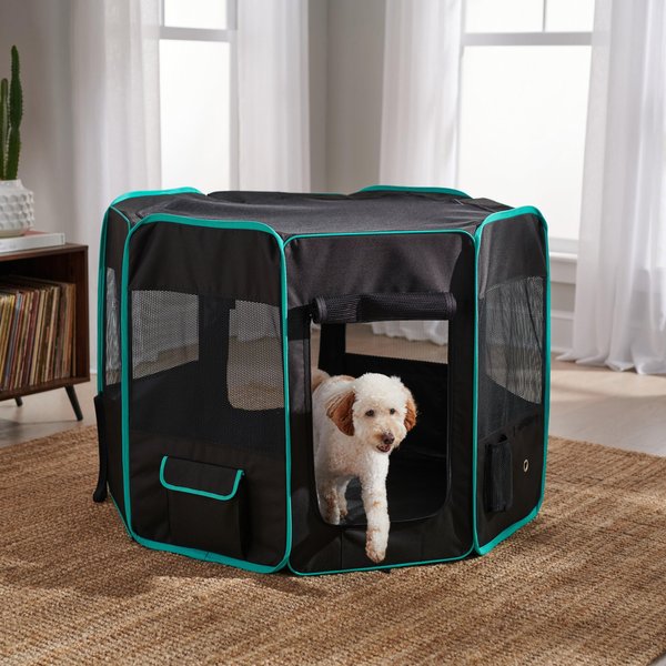 Frisco Soft-Sided Dog, Cat & Small Pet Exercise Playpen, Black/Teal, 48-in L x 48-in W x 32-in H slide 1 of 6