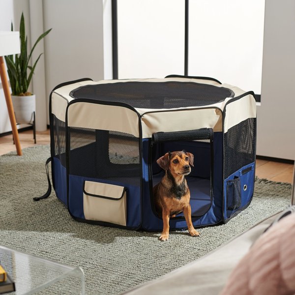 FRISCO Soft-Sided Dog, Cat & Small Pet Exercise Playpen, Cream/Navy, 42 ...
