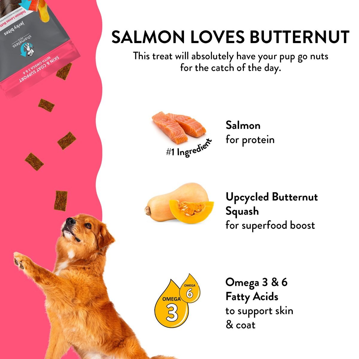 SHAMELESS PETS Salmon Loves Butternut Recipe Jerky Dog Treats, 5oz bag