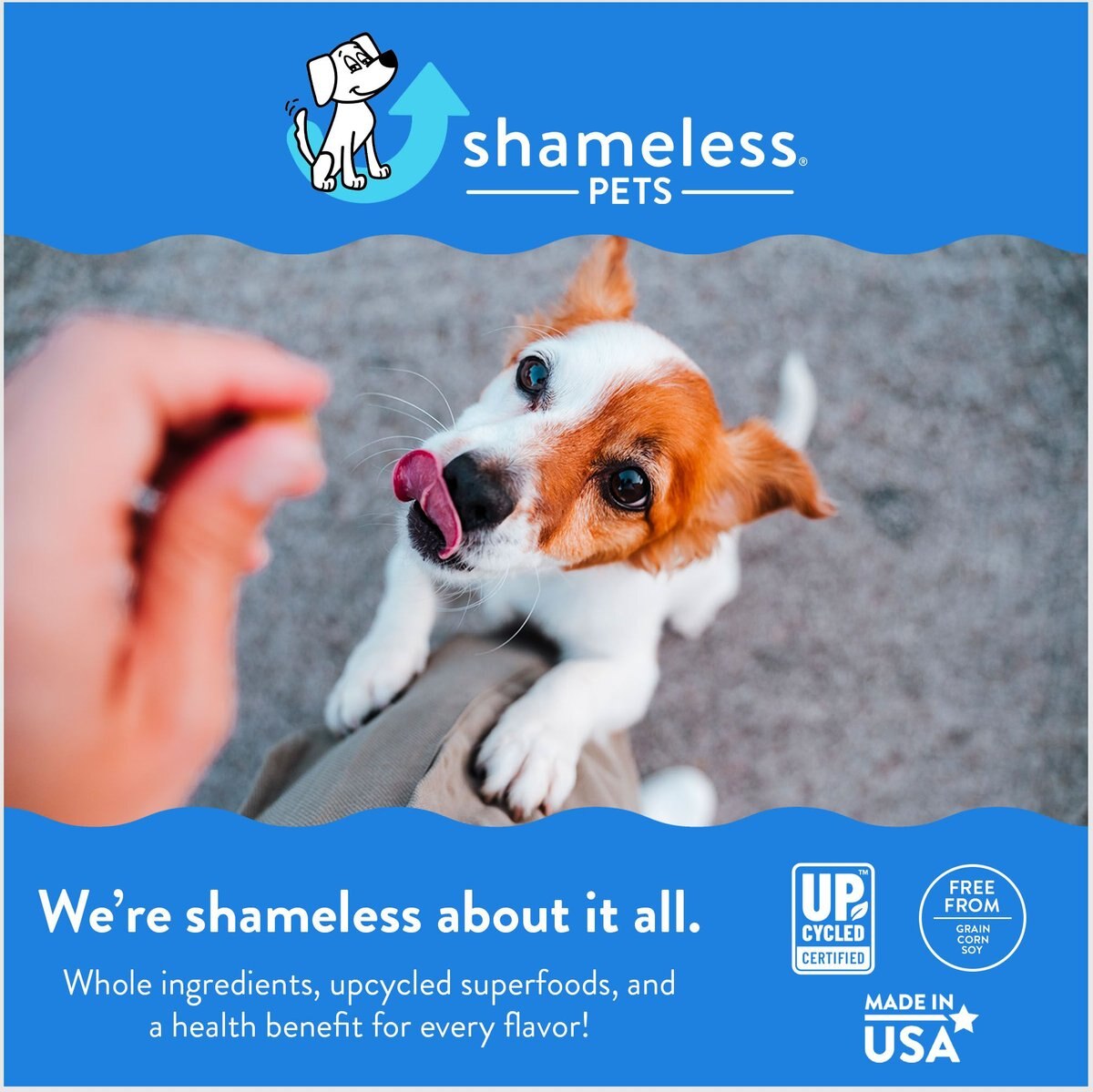 SHAMELESS PETS Salmon Loves Butternut Recipe Jerky Dog Treats, 5oz bag