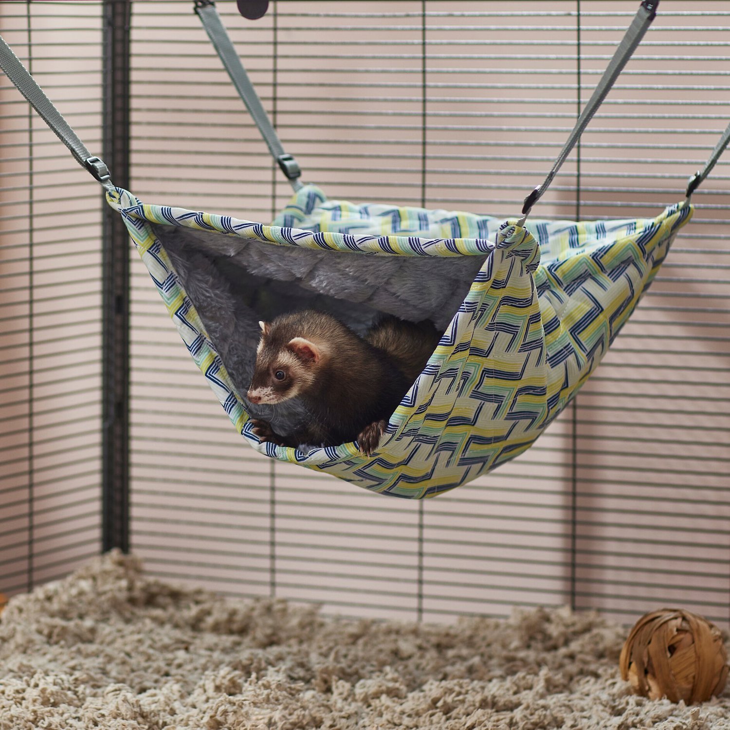 10 Best Ferret Hammocks & Beds 2023: According to Reviews | Chewy