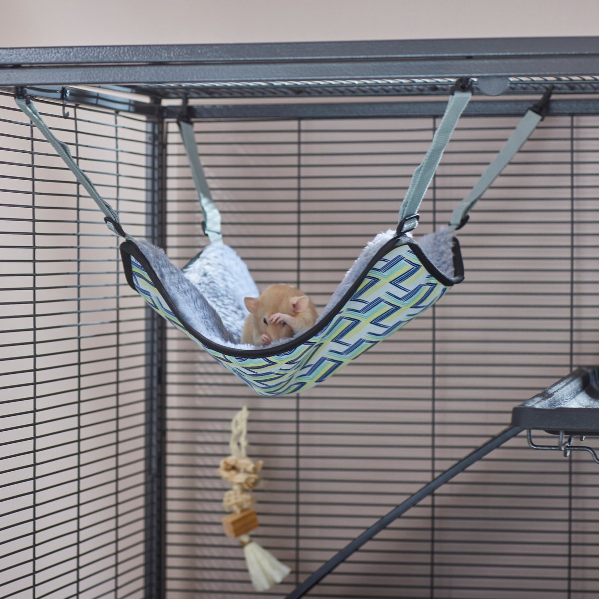 FRISCO Geometric Small Pet Hanging Hammock, Multi Color - Chewy.com