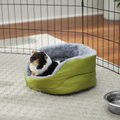 Frisco Forest Plush Round Small Pet Cuddler, Green
