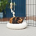 Frisco Plush Small Pet Snuggle Ball, Cream